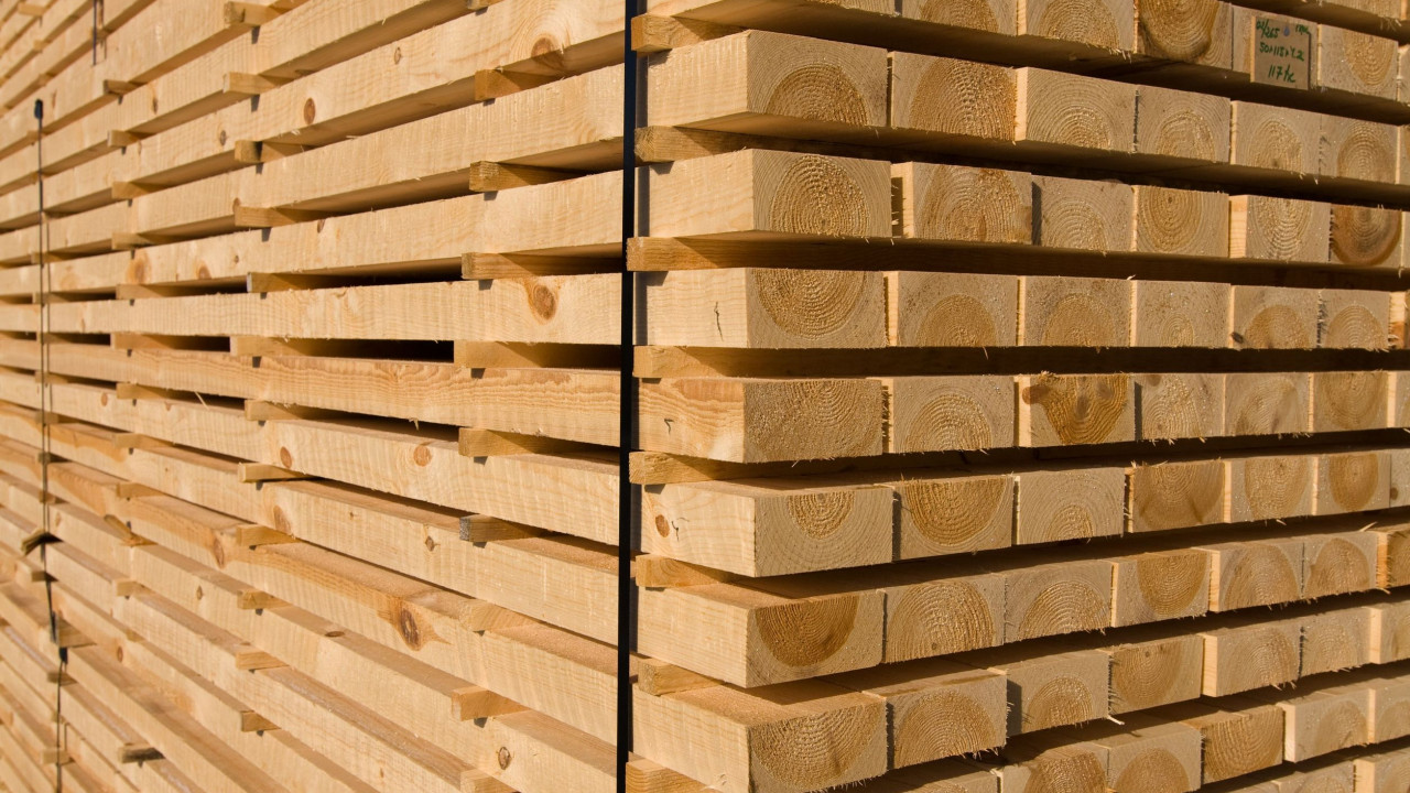 Pine Timber drying